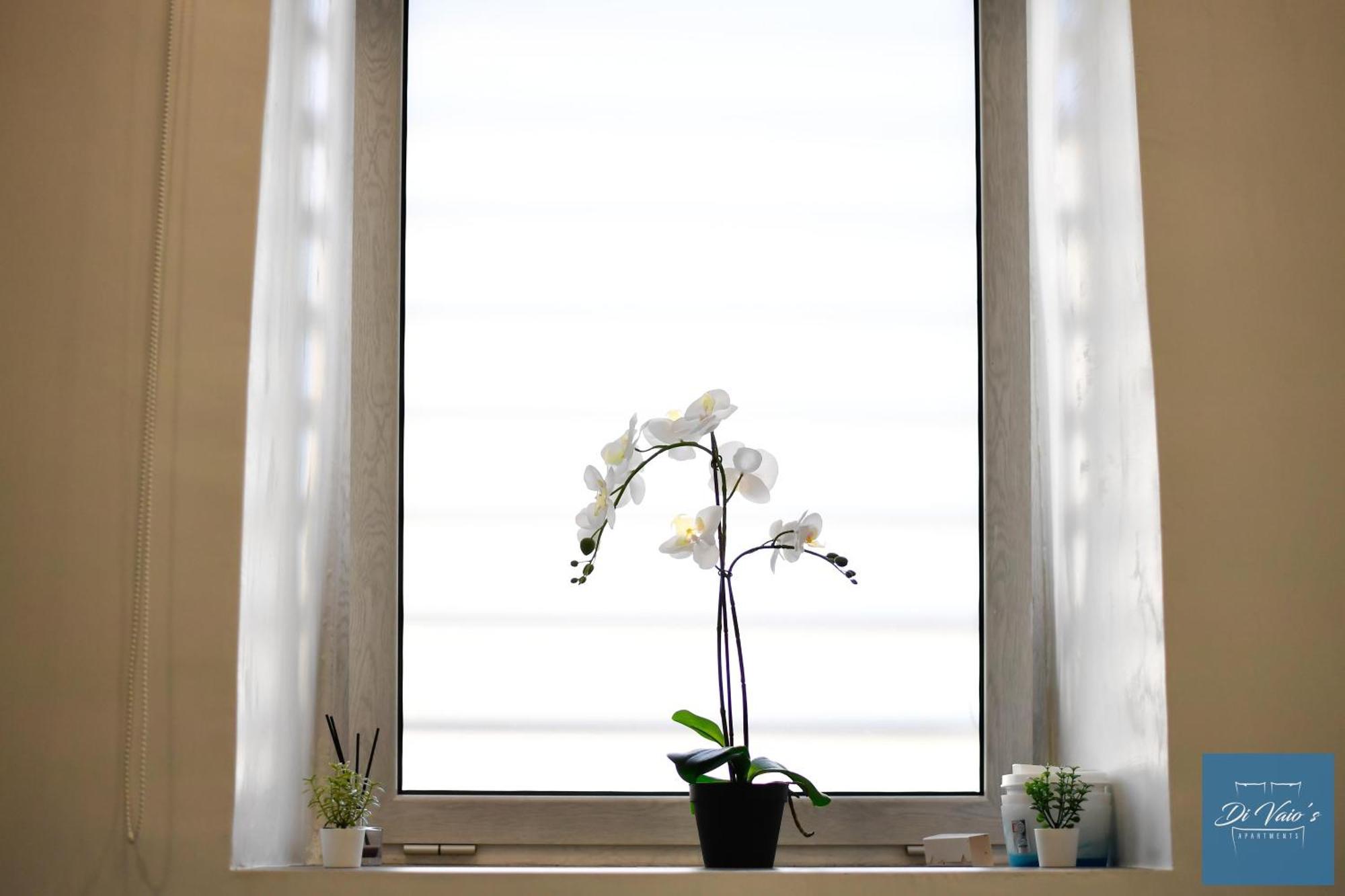 Di Vaio'S Apartments 나폴리 외부 사진
